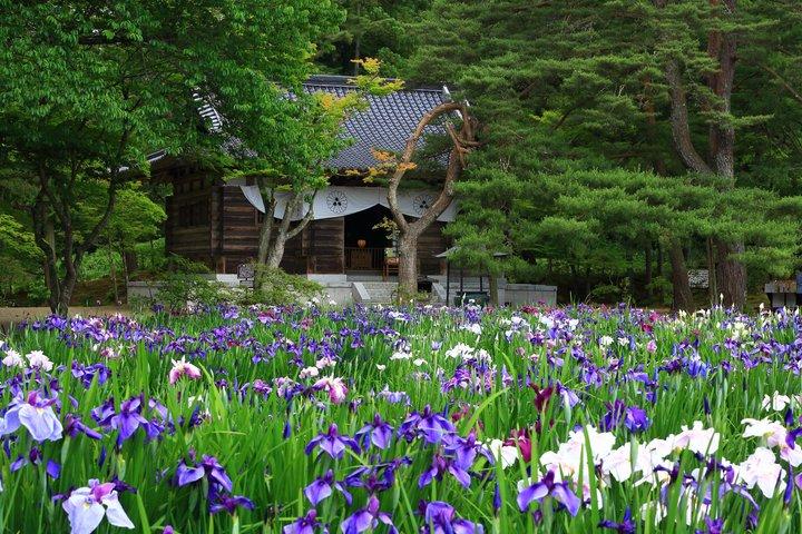 2 - 日帰り世界遺産平泉と絶景松島の旅ツアー