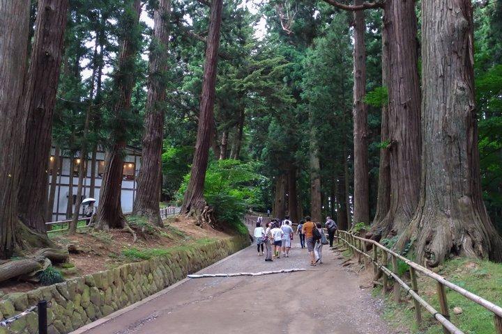 2 - 日帰り世界遺産平泉と絶景松島の旅ツアー