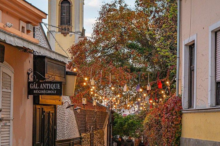 ブダペスト発ドナウベンド : Szentendre, Visegrad & Esztergom