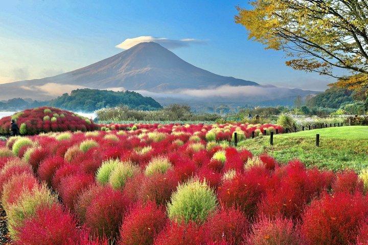 Mont Fuji, Arakurayama, boutique d'horlogerie Hikawa, parc Oishi, Kawaguchiko