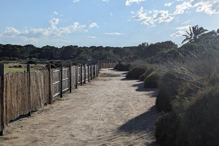Albufera im Detail: Geschichte, Wald und Bootsfahrt