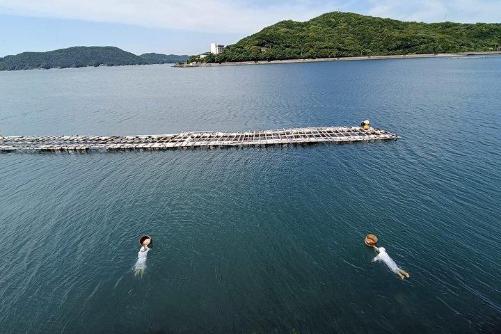 三重 : ミキモト真珠島と養殖真珠の誕生