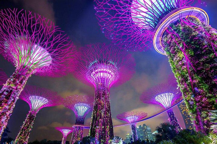 4 Hours Private Night Tour in Singapore