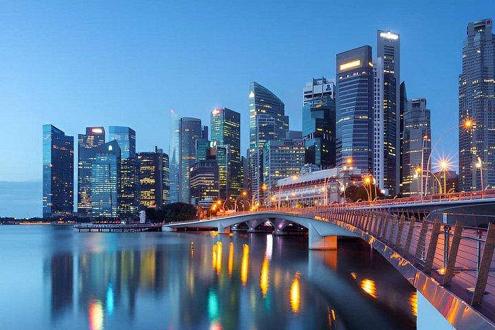 4 Hours Private Night Tour in Singapore