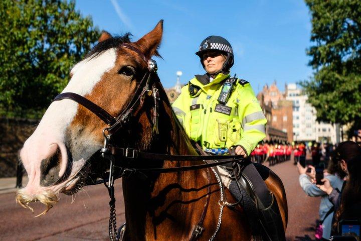 Buckingham Palace und Wachwechsel-Rundgang