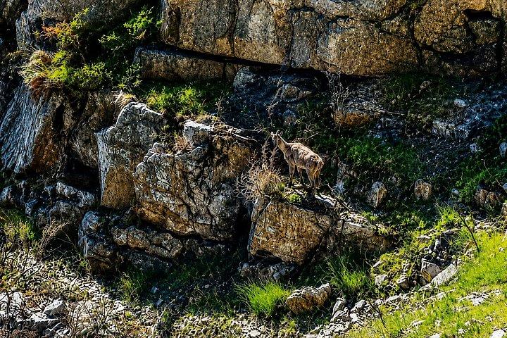 Table Mountain Hike via Kasteels Poort Trail