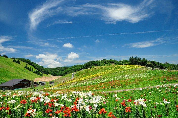 Tour cultural de Shiga de 2 días con creación de miso y paisajes pintorescos