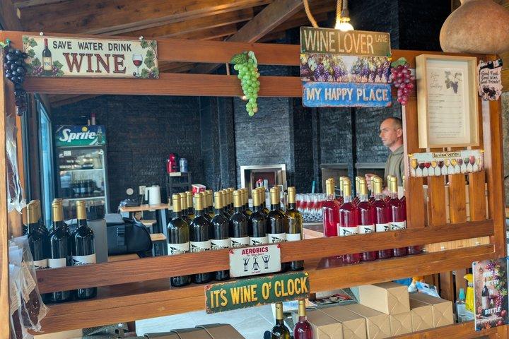 ポルトから：2つのワイン産地、農場からテーブルランチ、プライベートボート