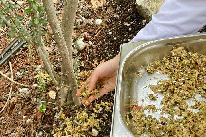 フェティエで地元のシェフと家庭料理フレッシュガーデン