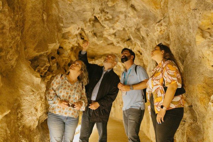 För privat bruk: Guidad tur i Quinta da Regaleira och Sintra historiska centrum