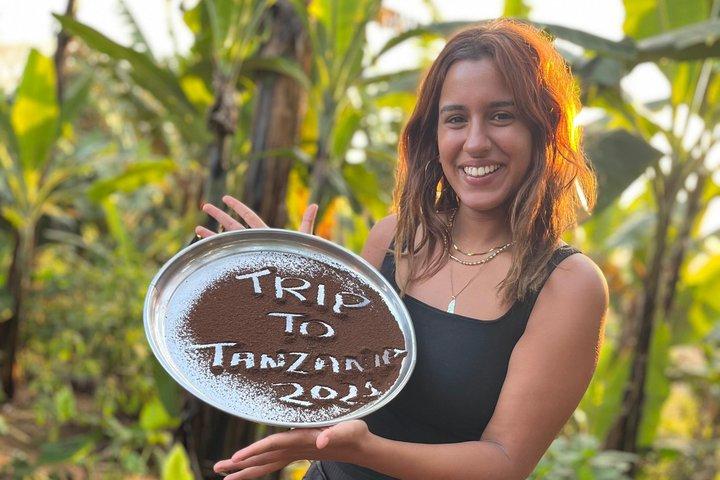 Traslado privado desde el Aeropuerto de Kilimanjaro (JRO) Moshi o Arusha