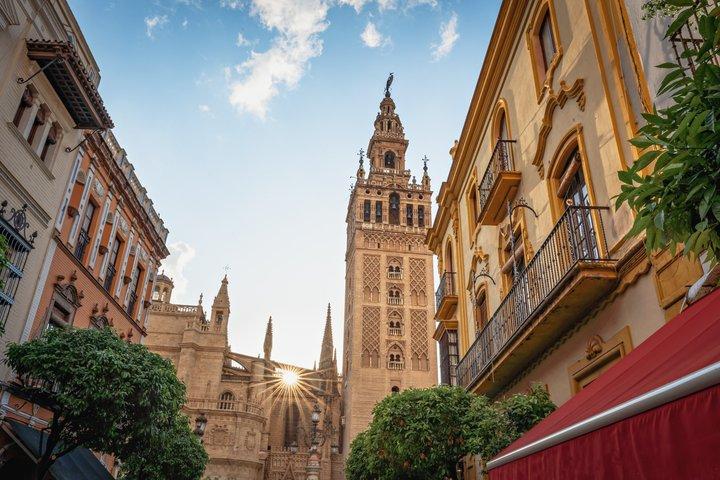 Visite privée de Séville de la cathédrale royale d'Alcazar et de la Giralda