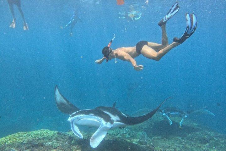 Escursione di un'intera giornata a Nusa Penida da Nusa Lembongan