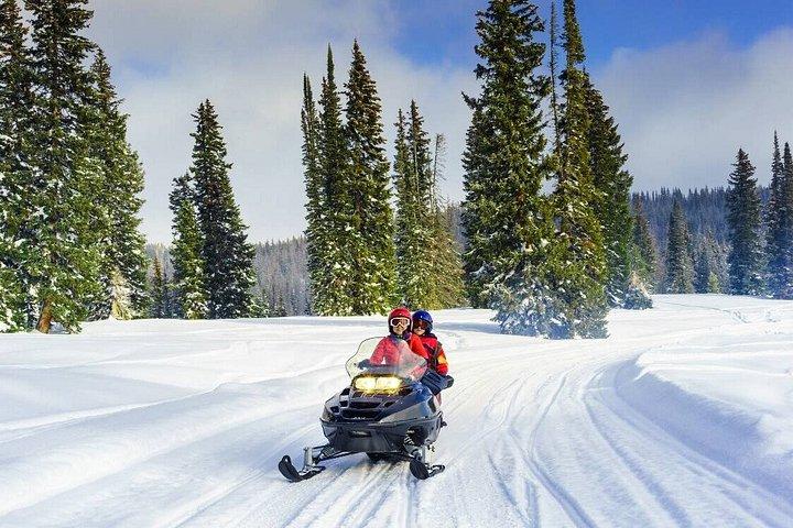 セロ・オットーでのスノーモービルと雪上アドベンチャー