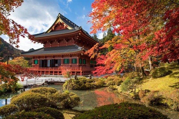 Nikko Day Trip til Toshogu Shrine og Kegon Falls med tog