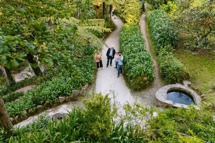 För privat bruk: Guidad tur i Quinta da Regaleira och Sintra historiska centrum