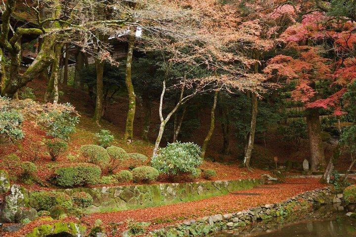 Itoshima Scenic Day Tour Shiraito Falls and Coastal View Fukuoka