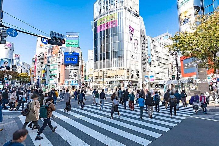 赤ちゃん・幼児連れ向け東京プライベートカスタムツアー