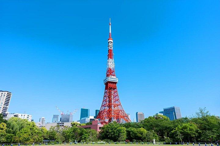 Tokyo Private Custom Tour for Families with Babies and Toddlers