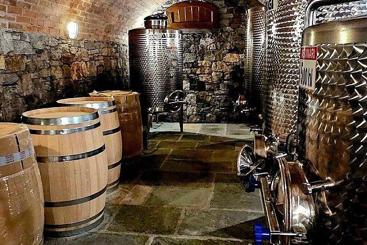 Domaso: Weinprobe im Weingut am Comer See