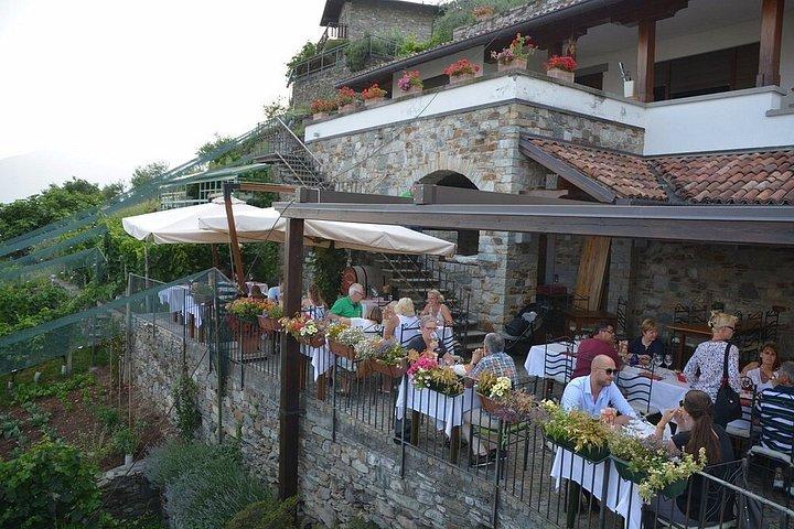 Domaso: Weinprobe im Weingut am Comer See