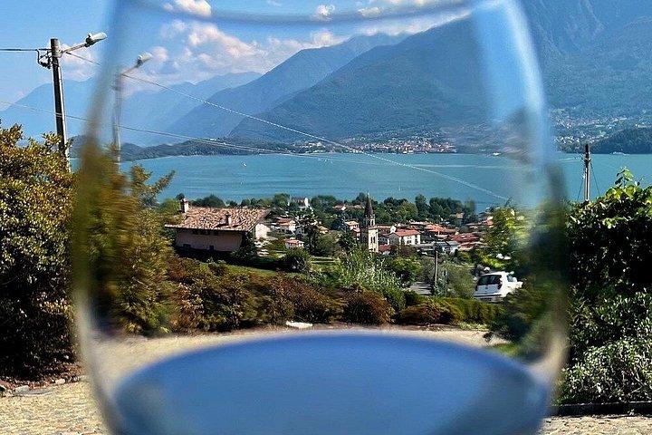 Domaso: Weinprobe im Weingut am Comer See