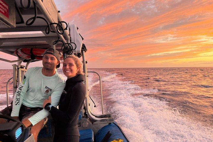 Kona Night Manta Ray Snorkel | Experiencia en grupos pequeños