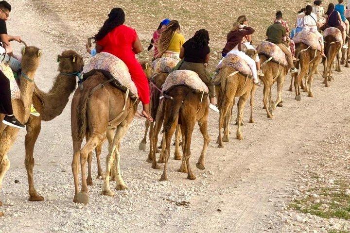 Marrakech Agafay Desert Dinner Show & Camel Ride Experience