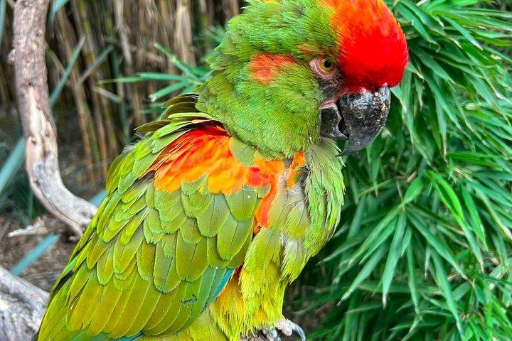 テオティワカン遺跡とサファリツアー（ビュッフェ式朝食付き）、一切の仕掛けなし