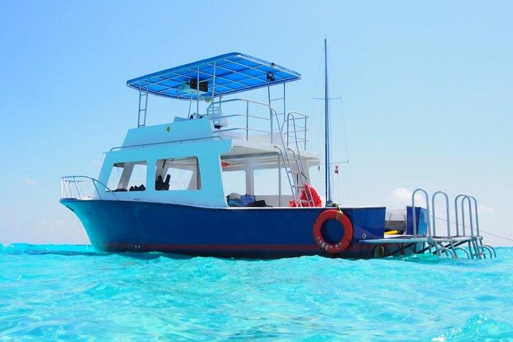 Stingray City Private Charter