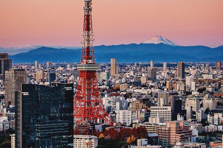 Tour privado de Tóquio com itinerário personalizado e guia de motorista Inglês