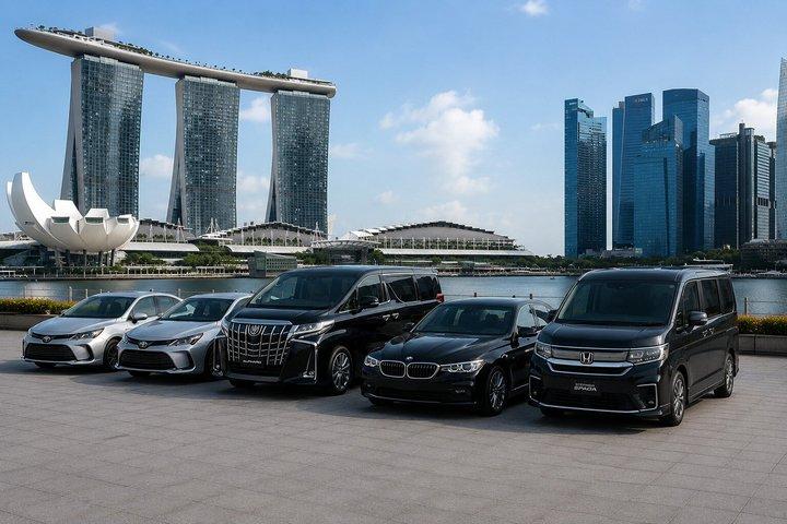 Trasferimento dall'aeroporto privato e dall'hotel di Singapore: Meet & Greet