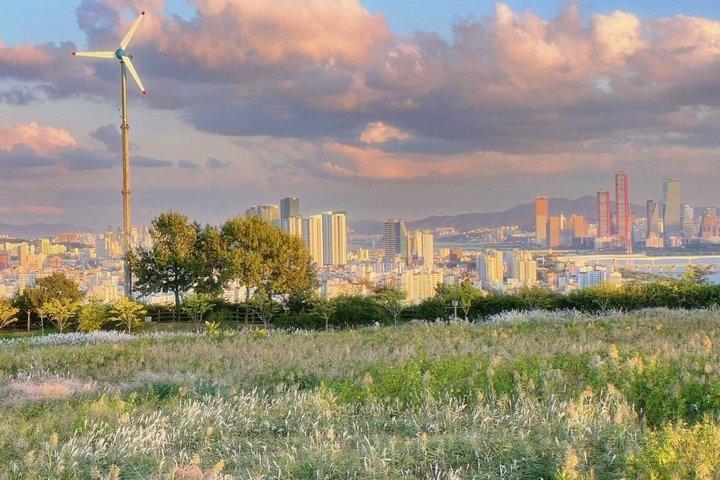 Seoul DMZ Aegibong, Hanok Village, Museo del Ginseng e Sky Park