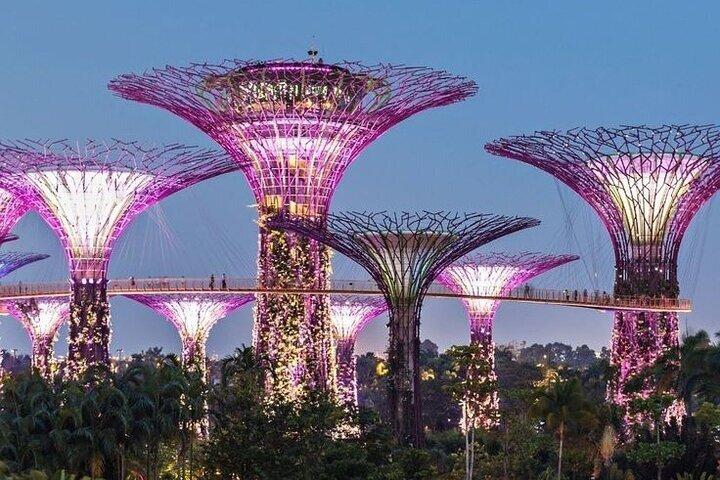 Strandutflykt från Singapores kryssningsterminaler