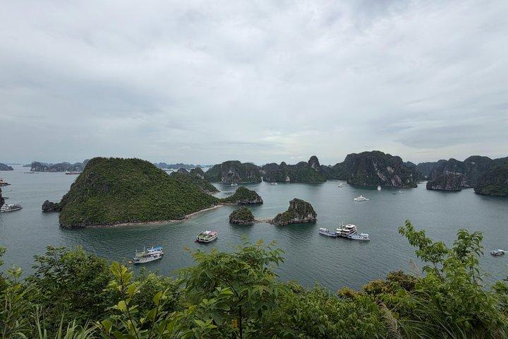 半日ランチ、ソンソット洞窟、チトップ島、カヤックでハロン湾を探索