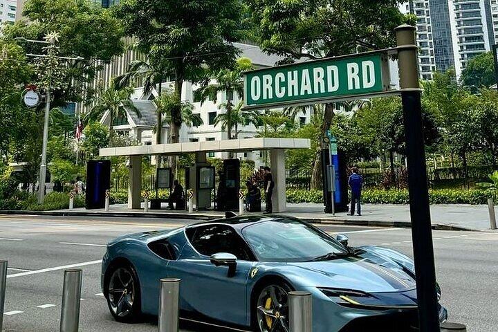 シンガポール・ショア・エクスカーション : クルーズターミナルから市内観光