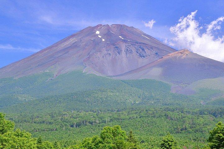ライセンスガイド付き車で富士山＆箱根プライベートツアー