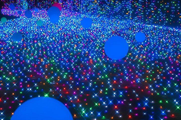 東京チームラボプラネッツと豊洲魚市場体験