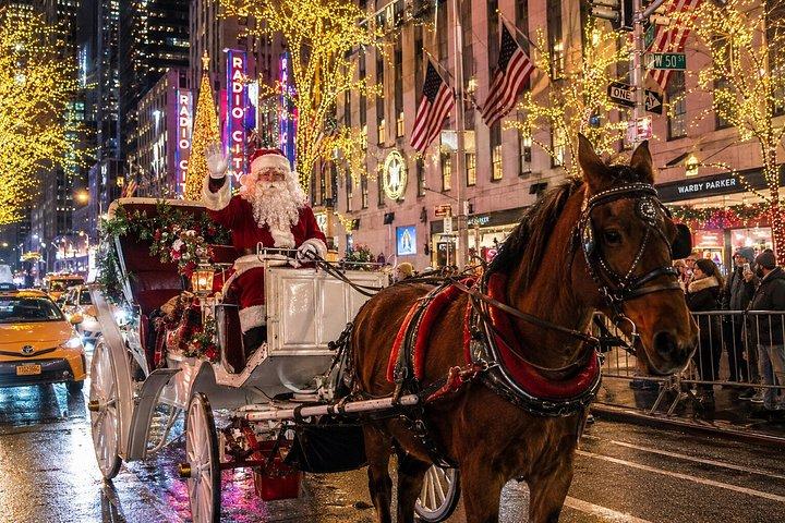 Férias Natal Lights Carriage Ride em Nova Iorque