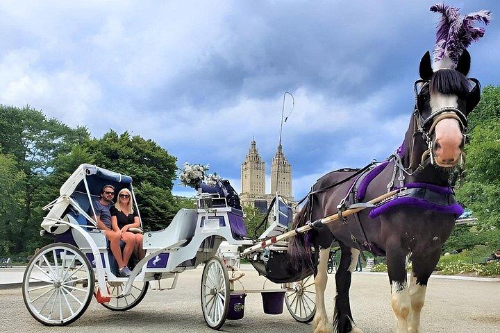 Férias Natal Lights Carriage Ride em Nova Iorque