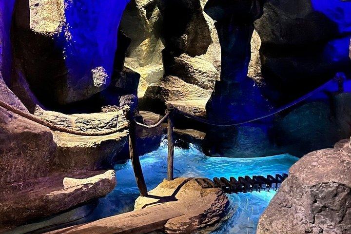 ACカーとガイドによる京都と伊賀忍者博物館のプライベートカスタムツアー