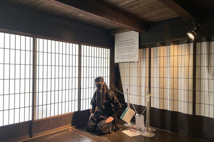 ACカーとガイドによる京都と伊賀忍者博物館のプライベートカスタムツアー