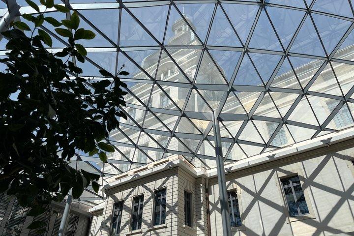Intro to Lyon Dynamic Walking Tours with Local Guide