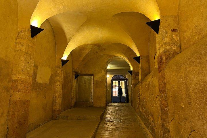 Intro to Lyon Dynamic Walking Tours with Local Guide