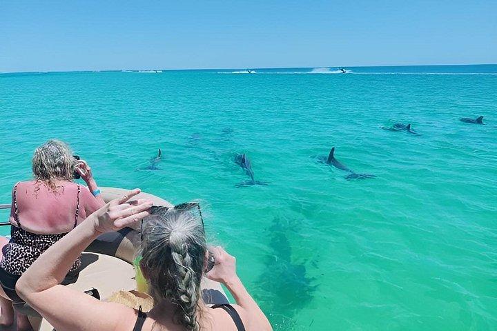 Excursion privée de 3 heures à Shell Island à Panama City Beach