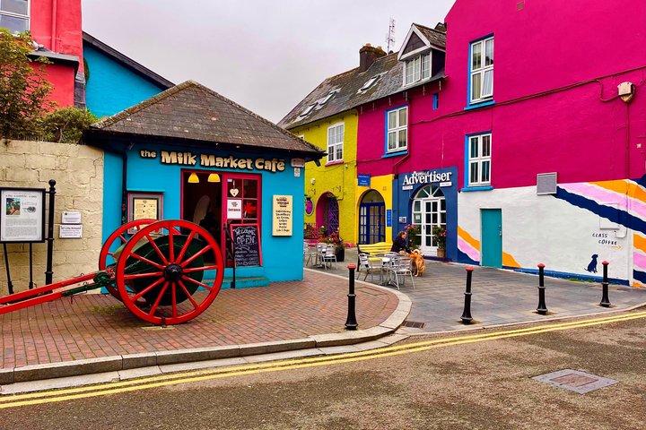 プライベートラグジュアリーツアーBlarney Castle Kinsale & Cobh, 7ゲストマックス