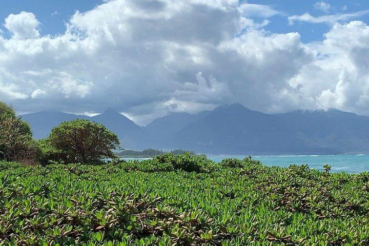 North Shore Maui E Cykeltur på dolda stränder