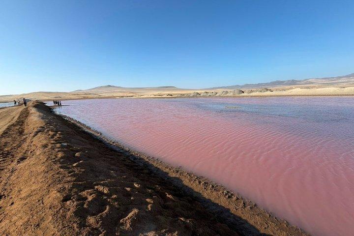 Zonsondergangexcursie met gouden schaduwen in Paracas
