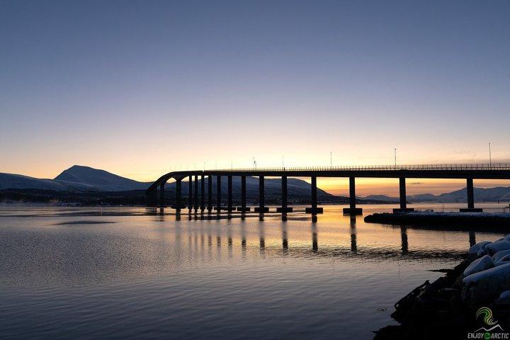 トロムソ発小グループノルウェー語フィヨルドツアー（写真付き）