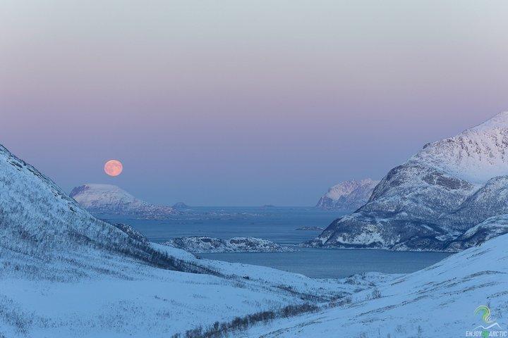 トロムソ発小グループノルウェー語フィヨルドツアー（写真付き）